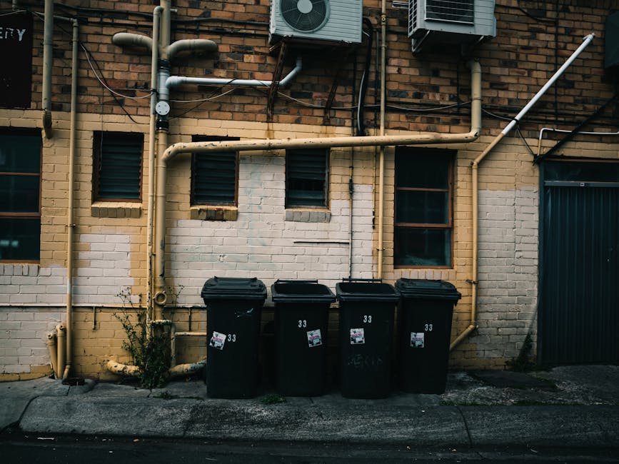 The image depicts two men engaged in rubbish removal or waste collection outdoors on a bright day. One person, dressed in a black jacket and yellow gloves, is seen lifting a cardboard box filled with assorted waste materials, including plastic and paper, from a large, rusted metal container that appears to be a skip or open-top waste bin. The other individual, wearing a light grey T-shirt and wristwatch, is assisting by holding the box steady, ensuring the contents are safely transferred into the container. Surrounding the scene is a paved area with a roadway in the background, featuring parked cars and a row of trees providing green foliage. A distinctive water tower or elevated water tank with a fan-like top structure is visible beyond the trees, along with a section of a modest building with a yellow railing. The environment is clean and well-lit by natural sunlight, emphasizing the practical nature of on-site waste handling that Waste Clearance Paddington might support as an alternative to traditional rubbish collection methods.