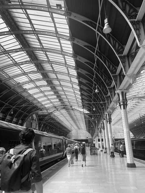 The image depicts a spacious train station platform with a high, curved glass roof supported by ornate metal arches and columns. Natural light filters through the large glass panes, illuminating the polished tile flooring. Several passengers are visible, some walking along the platform, while others stand or board the stationary trains on either side. In the foreground, a person with a backpack faces the trains, with their back to the camera. The trains have dark, sleek exteriors with large windows. The environment appears modern yet historic, with detailed ironwork on the columns and an expansive, curved ceiling structure. The overall scene conveys a busy transportation hub suitable for various passenger movements and the efficient flow of commuter activities, aligning with independent and private waste management logistics in busy city environments such as Paddington station. Waste Clearance Paddington’s services are applicable in scenarios involving the disposal of waste resulting from station maintenance or passenger-related rubbish removal tasks, although no waste is visible in this specific image. The atmosphere is bright and clean, emphasizing the clarity and detail of the station’s architecture and passenger activity.